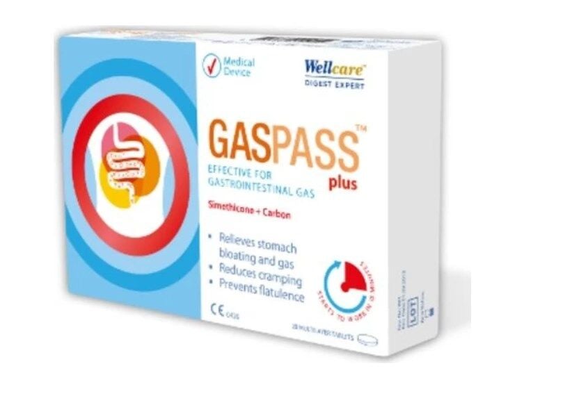 Wellcare Gaspass Plus 20 Tablet