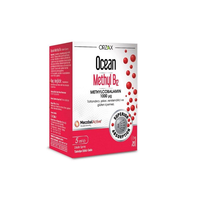 OCEAN METHYL B12 500 MCG 5 ML SPR